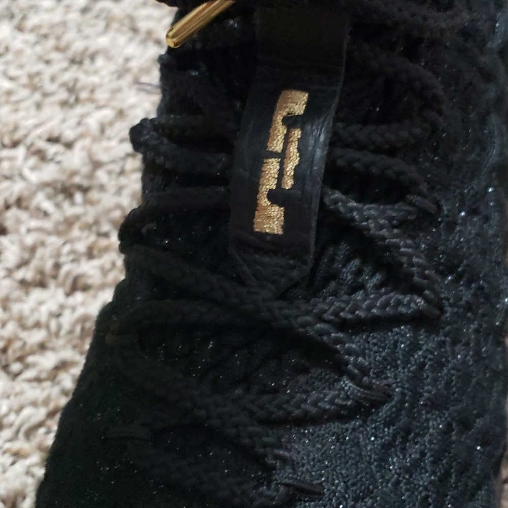 Lebron - Picture 3 of 4